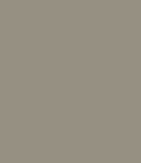 Lead-Colour-Page-Image