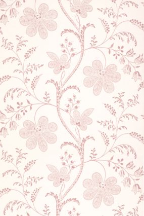 lwpv_bedfordsqhellebore_3x