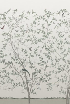 nt_beltonscenicoyster_3x